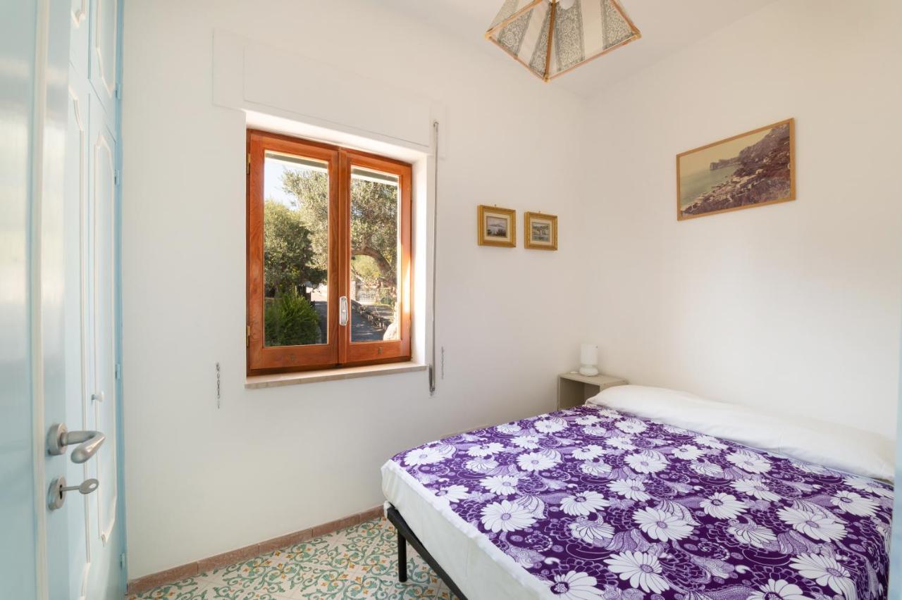 Main Roof Terrace Apartment Nerano Esterno foto