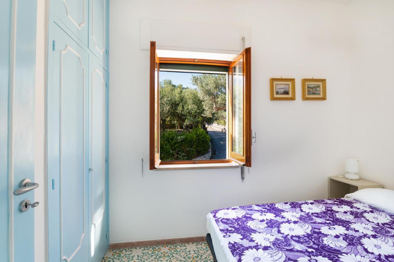 Main Roof Terrace Apartment Nerano Esterno foto